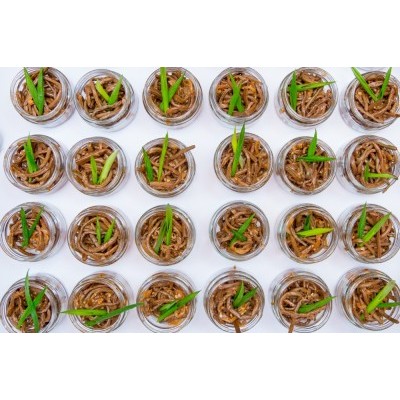 Блюда удэгейской кухни могут появиться в меню приморских ресторанов на постоянной основе