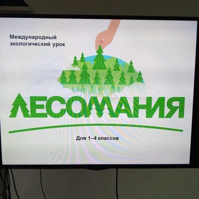 Праздник прошел ярко