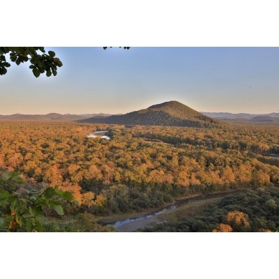 Национальный парк «Бикин» отмечает десятилетний юбилей