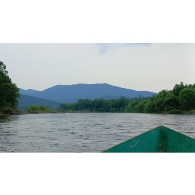 Изменились правила посещения национального парка «Бикин» и порядок выдачи разрешений