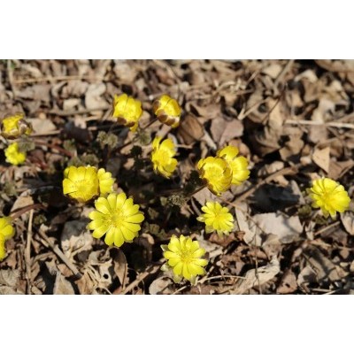 15 апреля — День экологических знаний